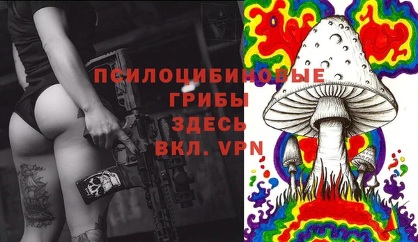 марки lsd Богородицк