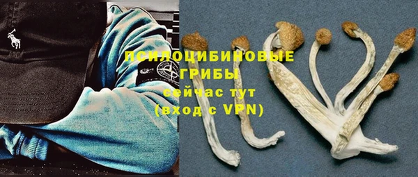 марки lsd Богородицк
