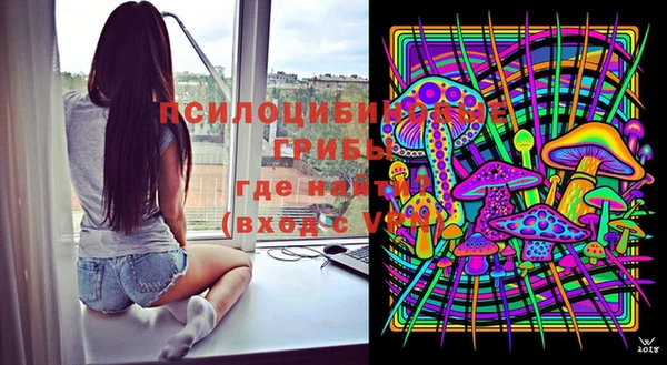 марки lsd Богородицк